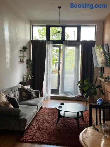 Bright, Spacious, Newly Renovated Apartment - Image 1