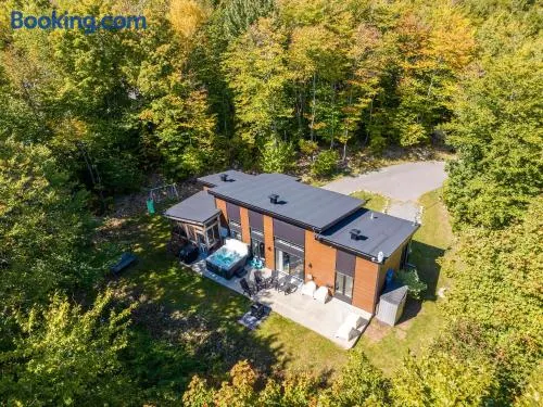 Chalet le Petit Castor - Spa - Image 1