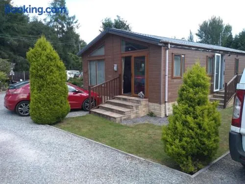 Squirrel Lodge - Image 1