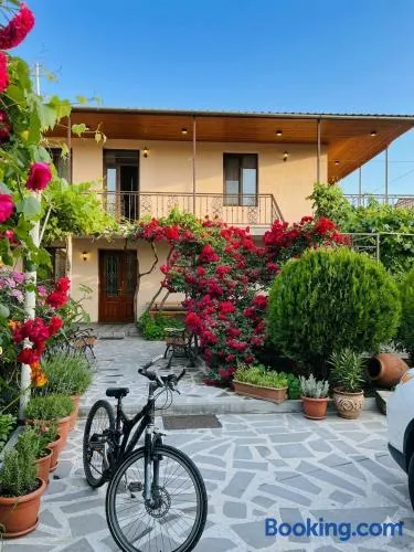 Guesthouse Mtkvari - Image 1