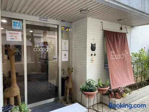 Oyado Cocochi - Image 1