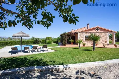 Finca Oliveres - Image 1