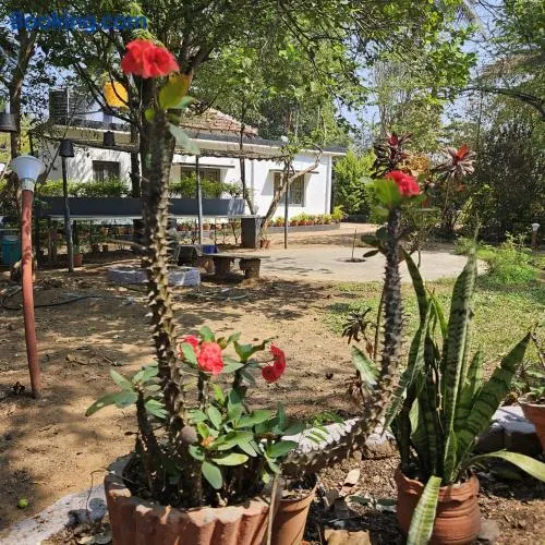 Mysticgreens Home Stay - Image 1