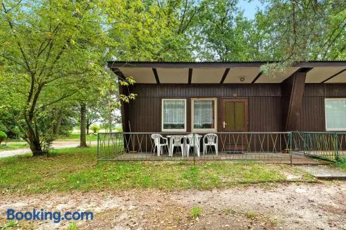 Bungalow 4 - Kimbucht - Image 1