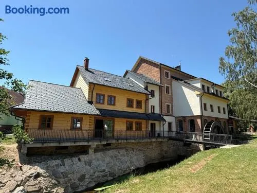Feltlův mlýn v Borovnici - Image 1
