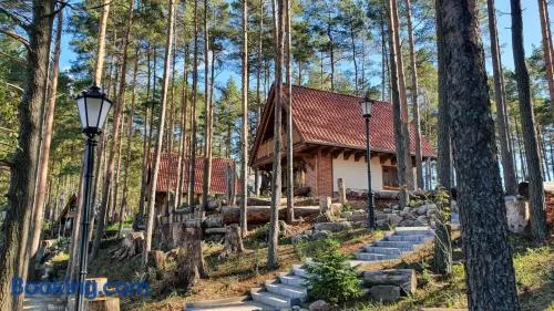 Osada Swory domki w lesie nad jeziorem - Image 1