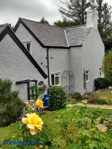 Pentre ISAF - Image 1