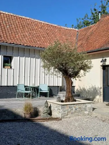 Les Oliviers - Image 1