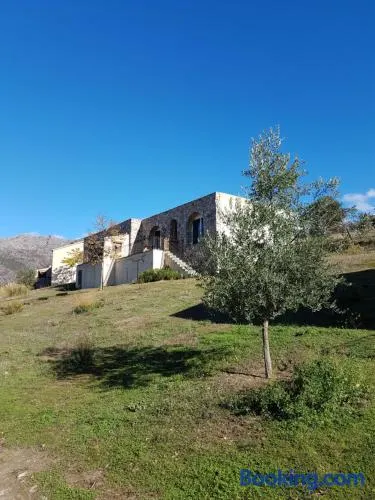 courtaline - Image 1