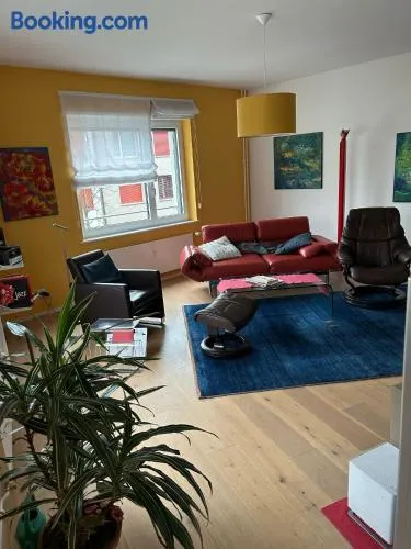 ESC-Basel-Flat - Whole rent to save our MUSICAL THEATER BASEL - Image 1