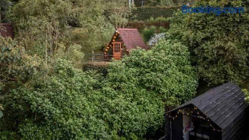 Chalets en Santa Elena en medio del Bosque - Image 1