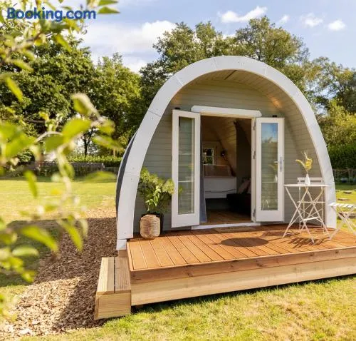 De verpozing - Tinyhouse nr2 - Image 1