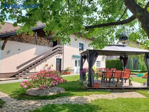 Studio apartma Žirovnik - Image 1