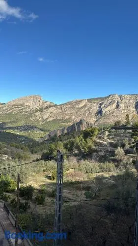 El Olivo - Image 1