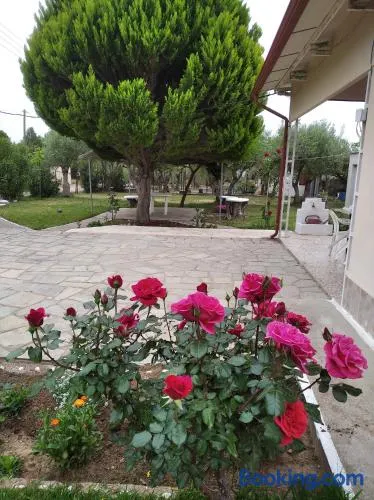 Country House Kalyves 2 bedrooms sleeps 6 700sqmgarden 180m from beach - Image 1