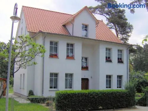 Ferienwohnung Birke - Image 1
