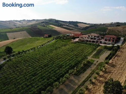 Agriturismo Emidio Pepe - Image 1