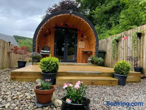 Loch Ness Woodland Pods - Image 1