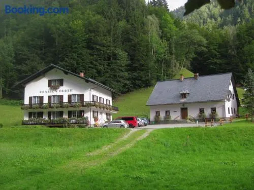 Ferienhaus Mendlingbauer - Image 1