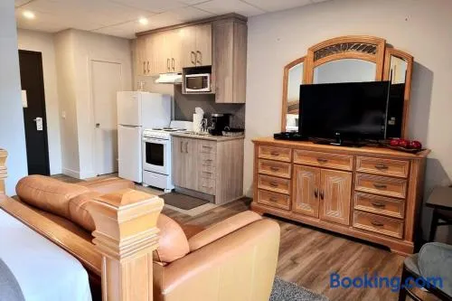 Cozy Spacious 1-BDR Studio #8. FREE Parking - Image 1
