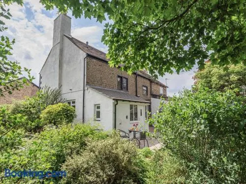 Cottage avec jardin - Image 1