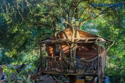 Espaço Casa da Árvore - 3 opções de chalés - Image 1
