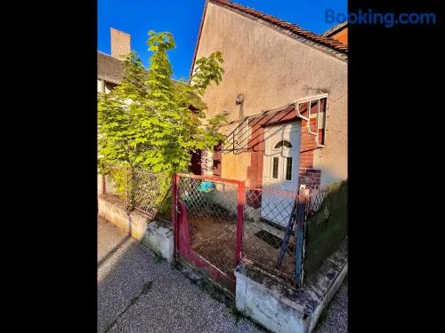 La Calcicienne - Image 1