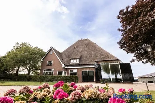 de Zuiderstolp - Image 1