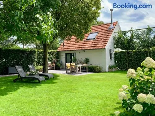 Heitse B&B en vakantiewoning - Image 1