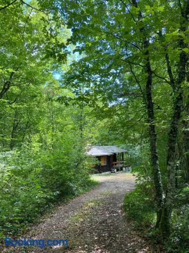 Refuge Nature - Chalet avec Terrasse vue forêt - Image 1
