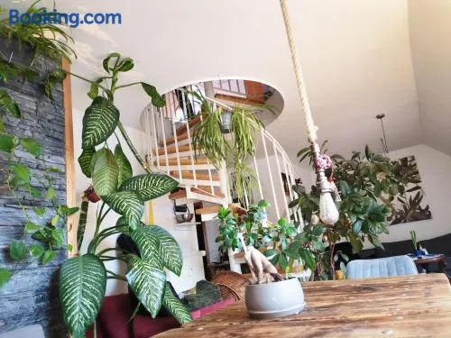 green maisonette with sauna and balcony, fully equipped - Image 1
