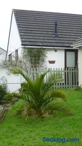 Sunny detached bungalow, Nr Looe - Image 1