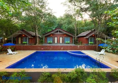 Rain Forest Jungle Stay - Image 1