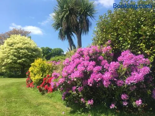 Stay on the grounds of this beautiful Manor house - Image 1