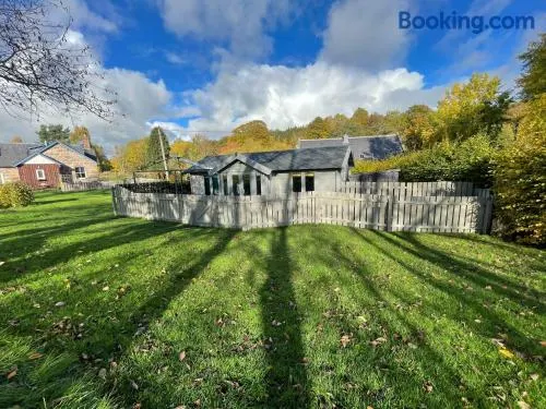 Daisy Cabin - Image 1
