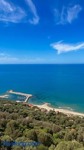 Belvedere - Image 1