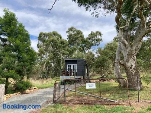 Cherry Tree - Merigan Farm Stay - Bungendore - Mount Fairy - Image 1