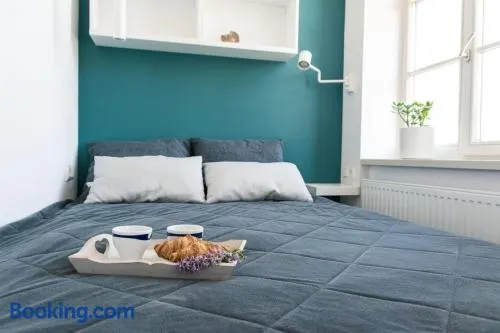Cozy studio apartment in the center of Riga - Image 1