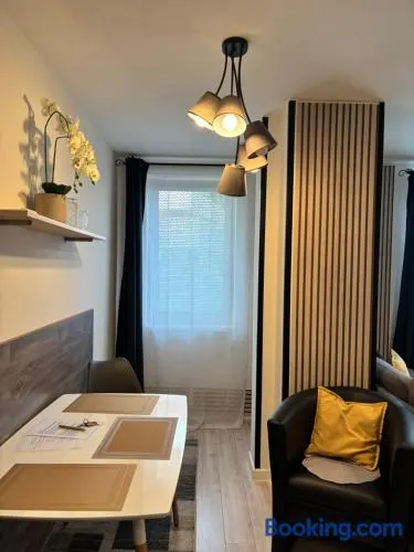 Apartmán CENTRAL, free parking - Image 1