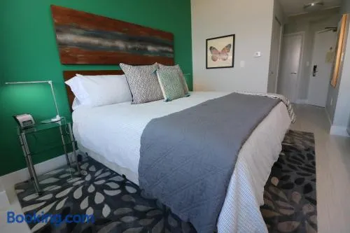 Renovated 21st Floor Private Unit located in Coconut Grove Hotel - Image 1