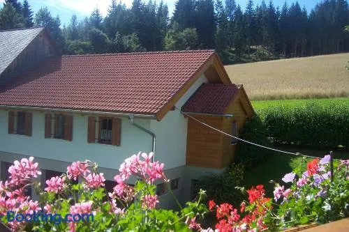 Appartement Steiner - Image 1