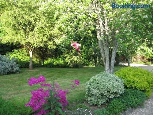 Self catering apartment at Beechwalk House. - Image 1