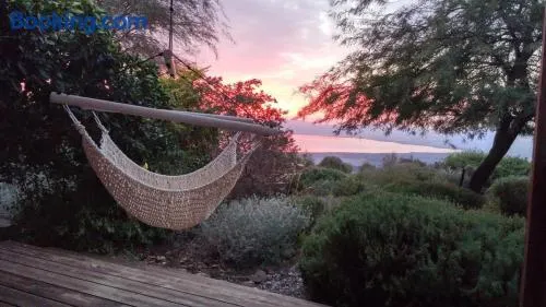 green island - Image 1