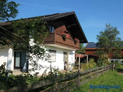 Ferienwohnung Schäffer - Image 1