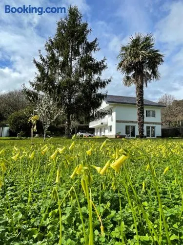 The Eira - Spacious home with lush garden - Image 1