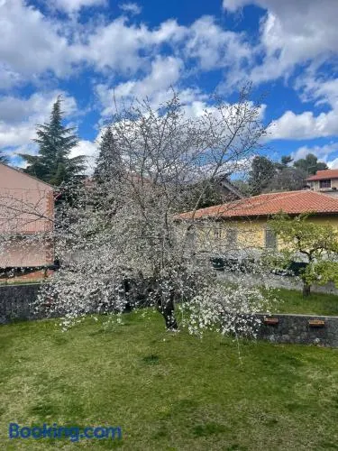 Etna sotto il ciliegio - Image 1