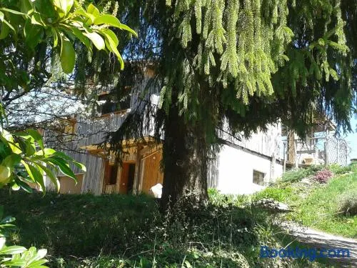 LES ACACIAS - Image 1