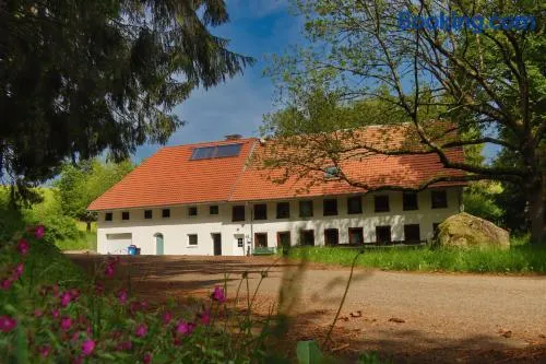 Schwarzwald Escape - Image 1