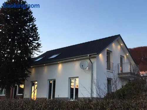 Ferienwohnung Grüner Weg - Image 1