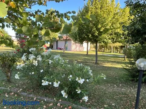 Casa Dora - Image 1